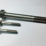 විශේෂ බෝල්ට්